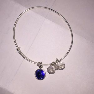 Alex and Ani charm bracelet